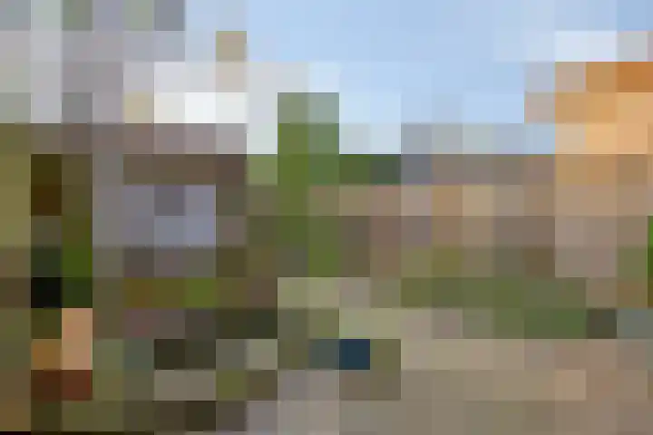 Barcelonastraat 41 Rotterdam thumbnail 32