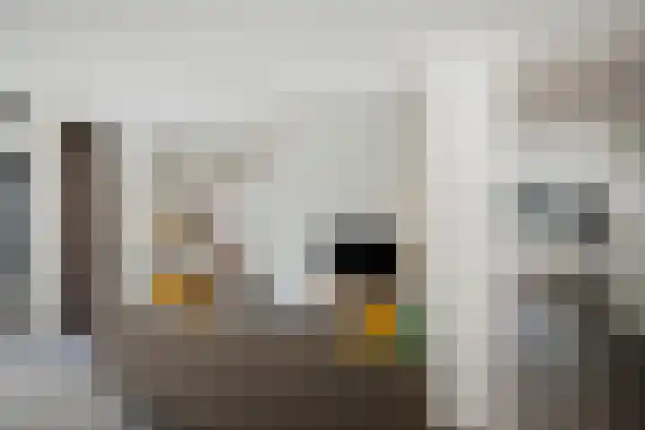 Barchemseweg 13 c Ruurlo thumbnail 10