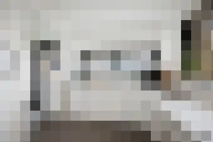 Barchemseweg 13 c Ruurlo thumbnail 13
