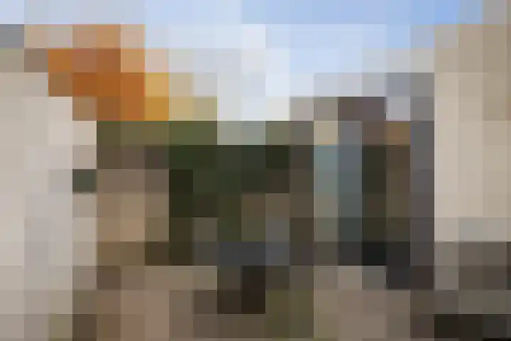 Barchemseweg 13 c Ruurlo thumbnail 21