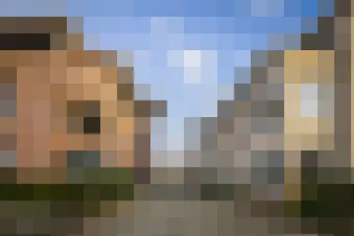 Barchemseweg 13 c Ruurlo thumbnail 31