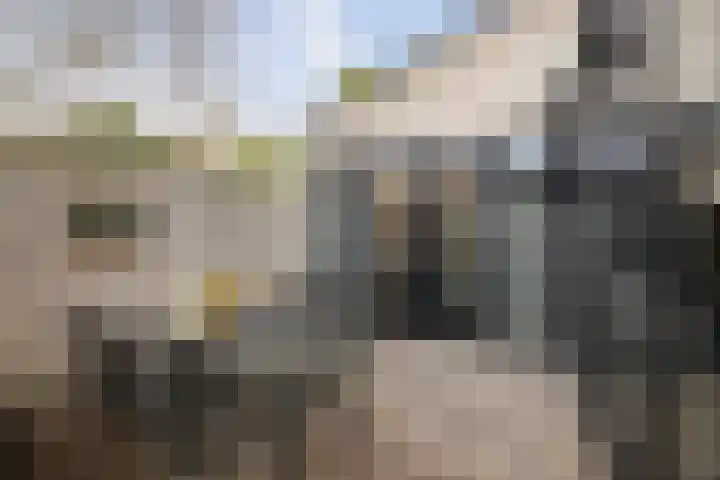 Barchemseweg 13 c Ruurlo thumbnail 6
