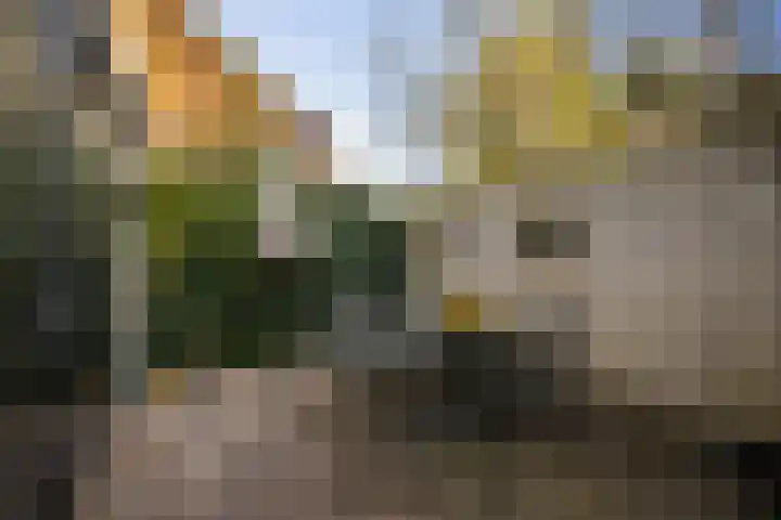 Barchemseweg 13 c Ruurlo thumbnail 7