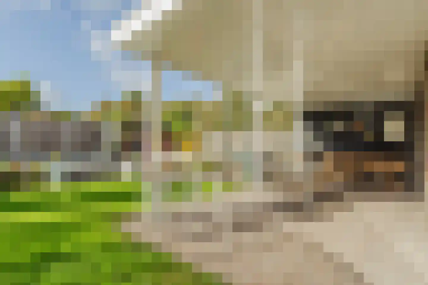 Barchemseweg 26 Lochem thumbnail 67