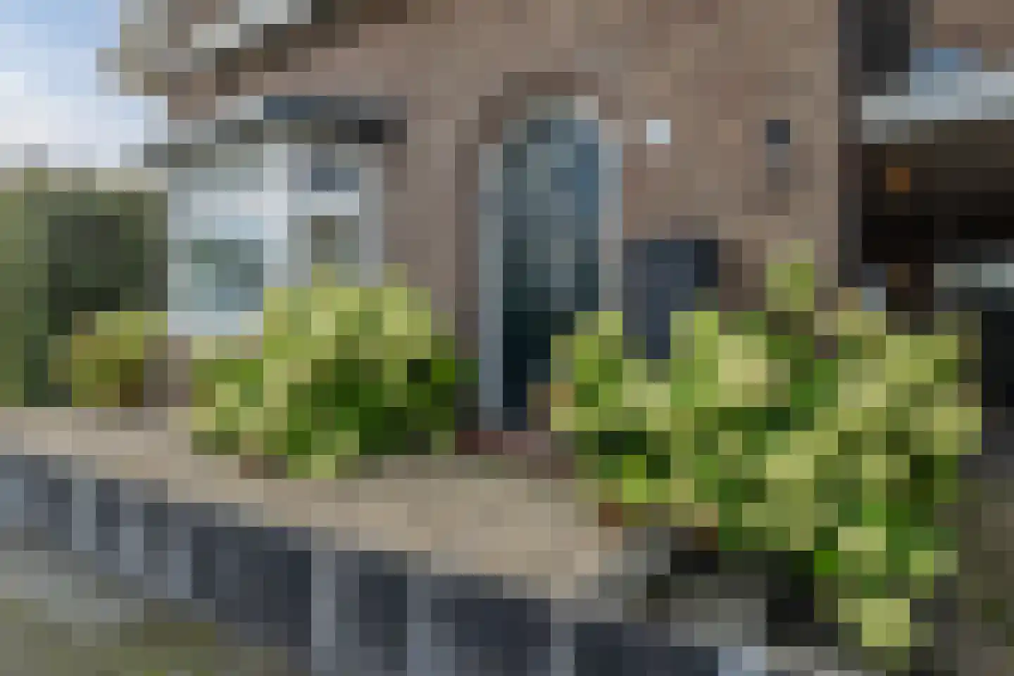 Barchemseweg 26 Lochem thumbnail 8