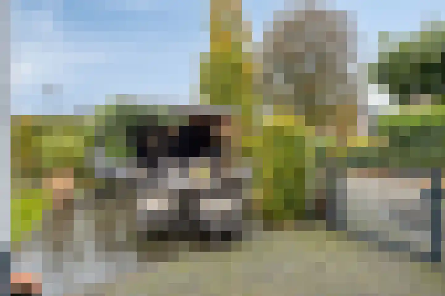 Barchemseweg 30 Lochem thumbnail 37