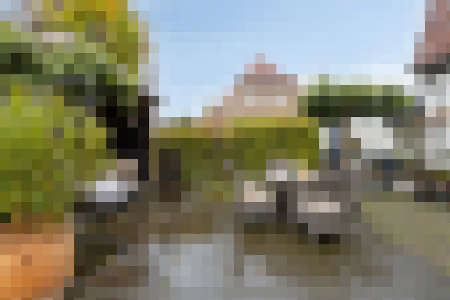 Barchemseweg 30 Lochem thumbnail 38
