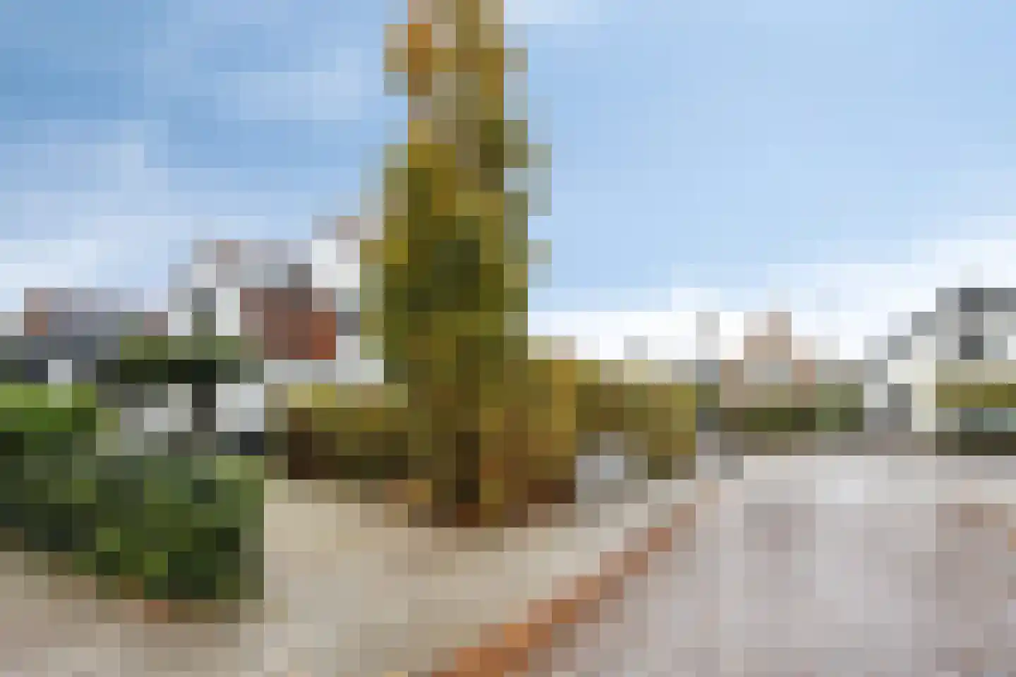 Barchemseweg 30 Lochem thumbnail 46
