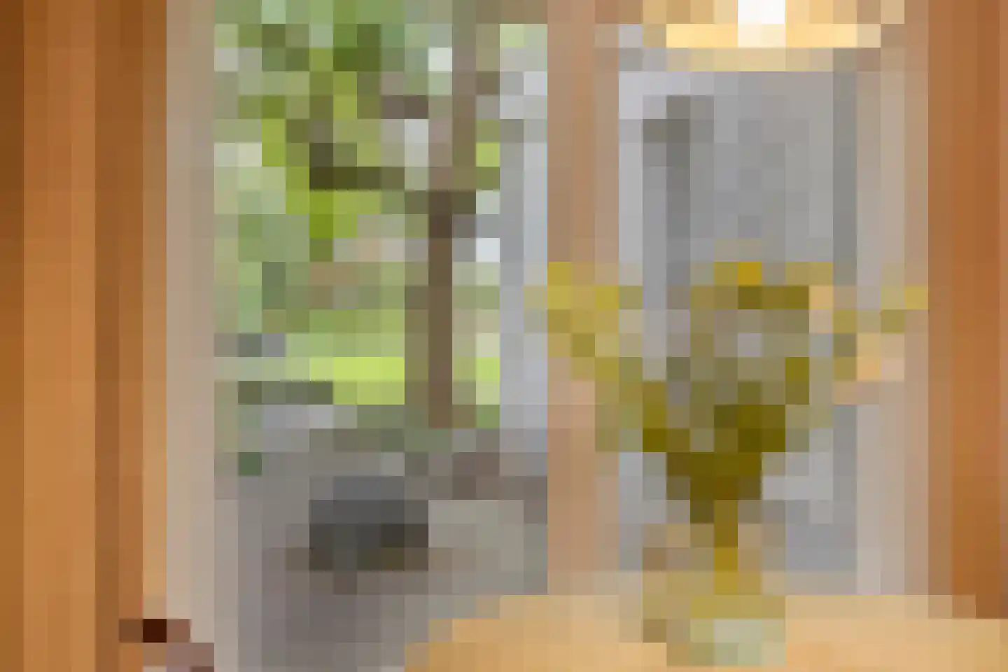Barchemseweg 36 Ruurlo thumbnail 12
