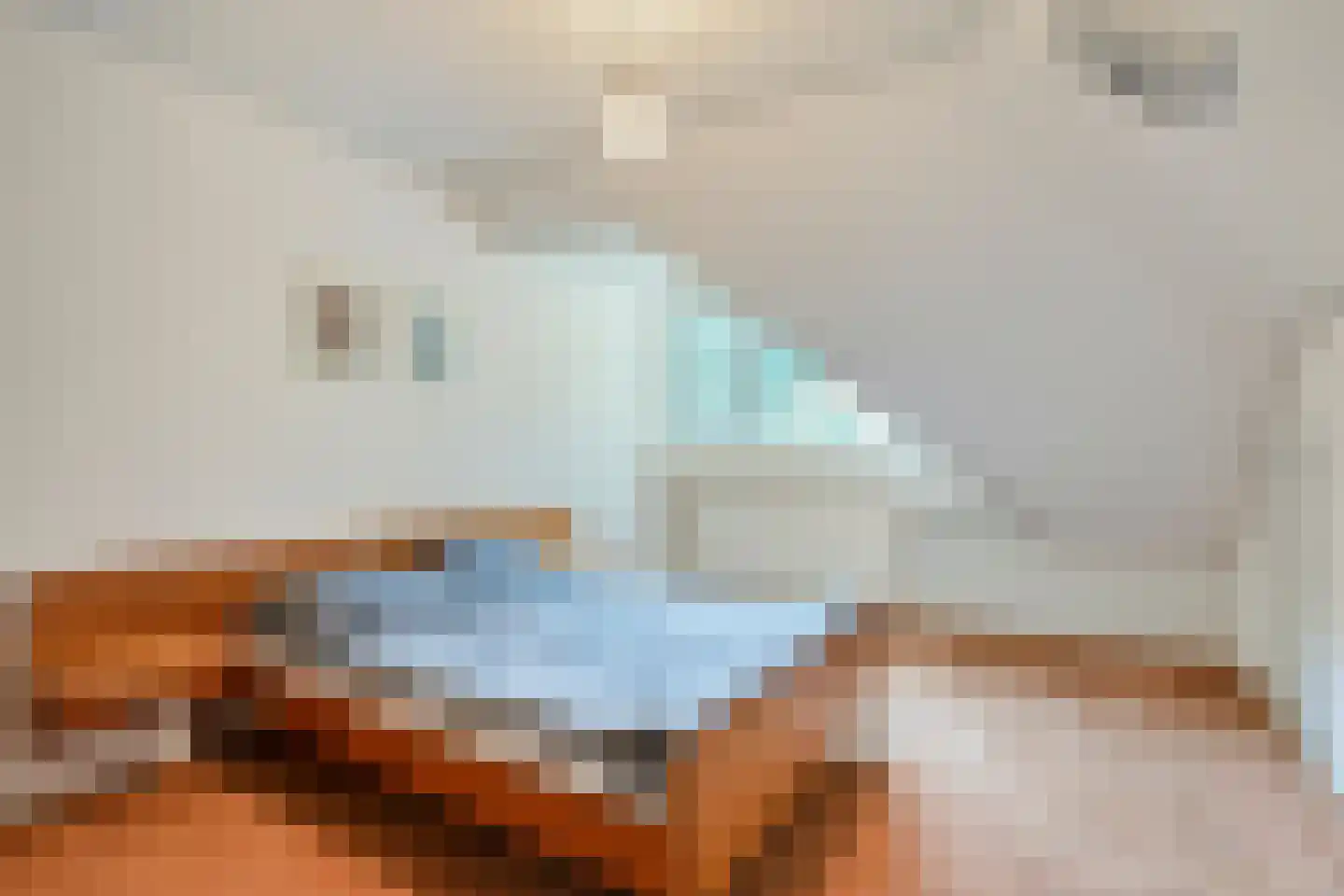 Barchemseweg 36 Ruurlo thumbnail 32