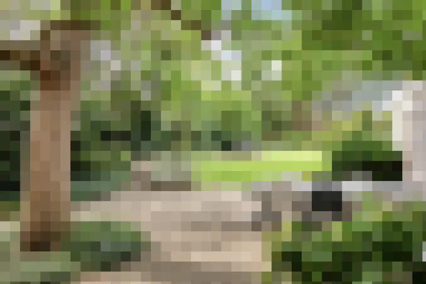 Barchemseweg 36 Ruurlo thumbnail 38