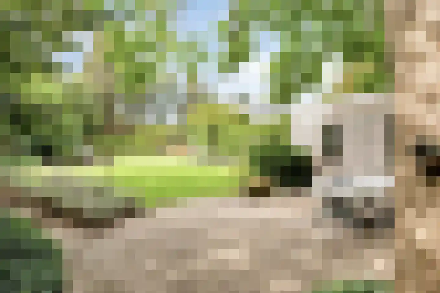 Barchemseweg 36 Ruurlo thumbnail 40