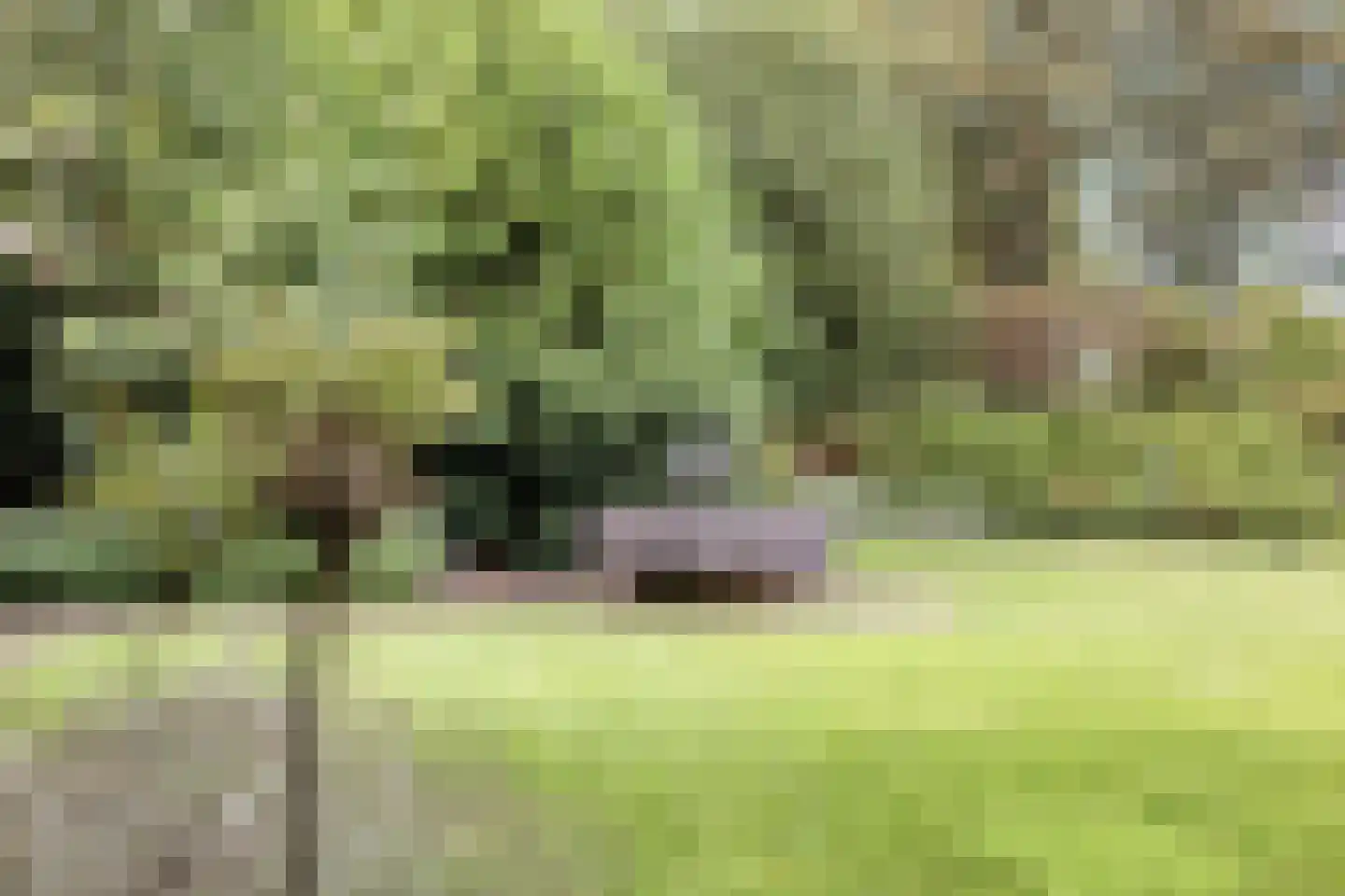 Barchemseweg 36 Ruurlo thumbnail 44