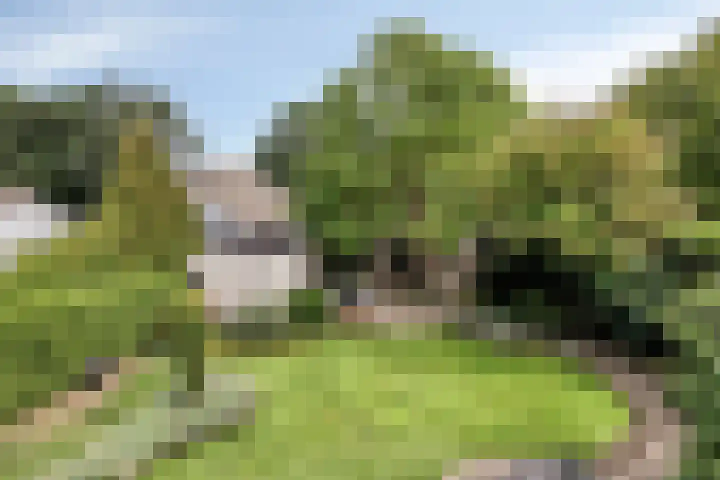 Barchemseweg 36 Ruurlo thumbnail 45