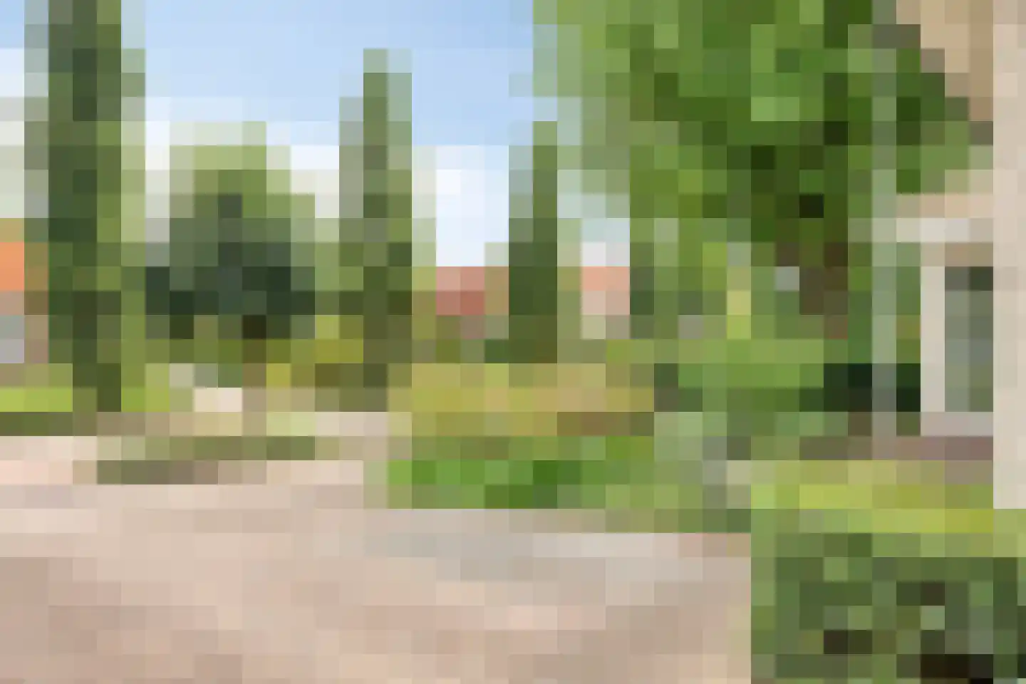 Barchemseweg 36 Ruurlo thumbnail 47
