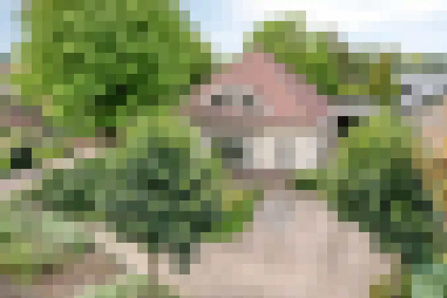 Barchemseweg 36 Ruurlo thumbnail 49