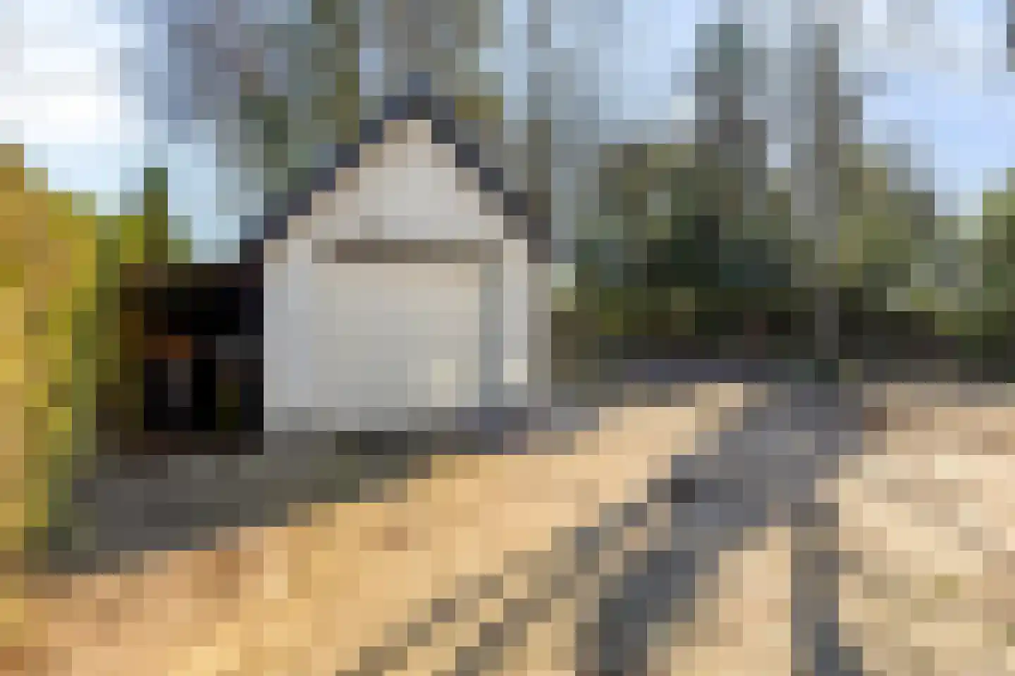 Barchemseweg 51 Ruurlo thumbnail 13