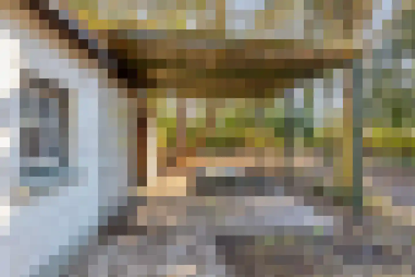 Barchemseweg 51 Ruurlo thumbnail 18