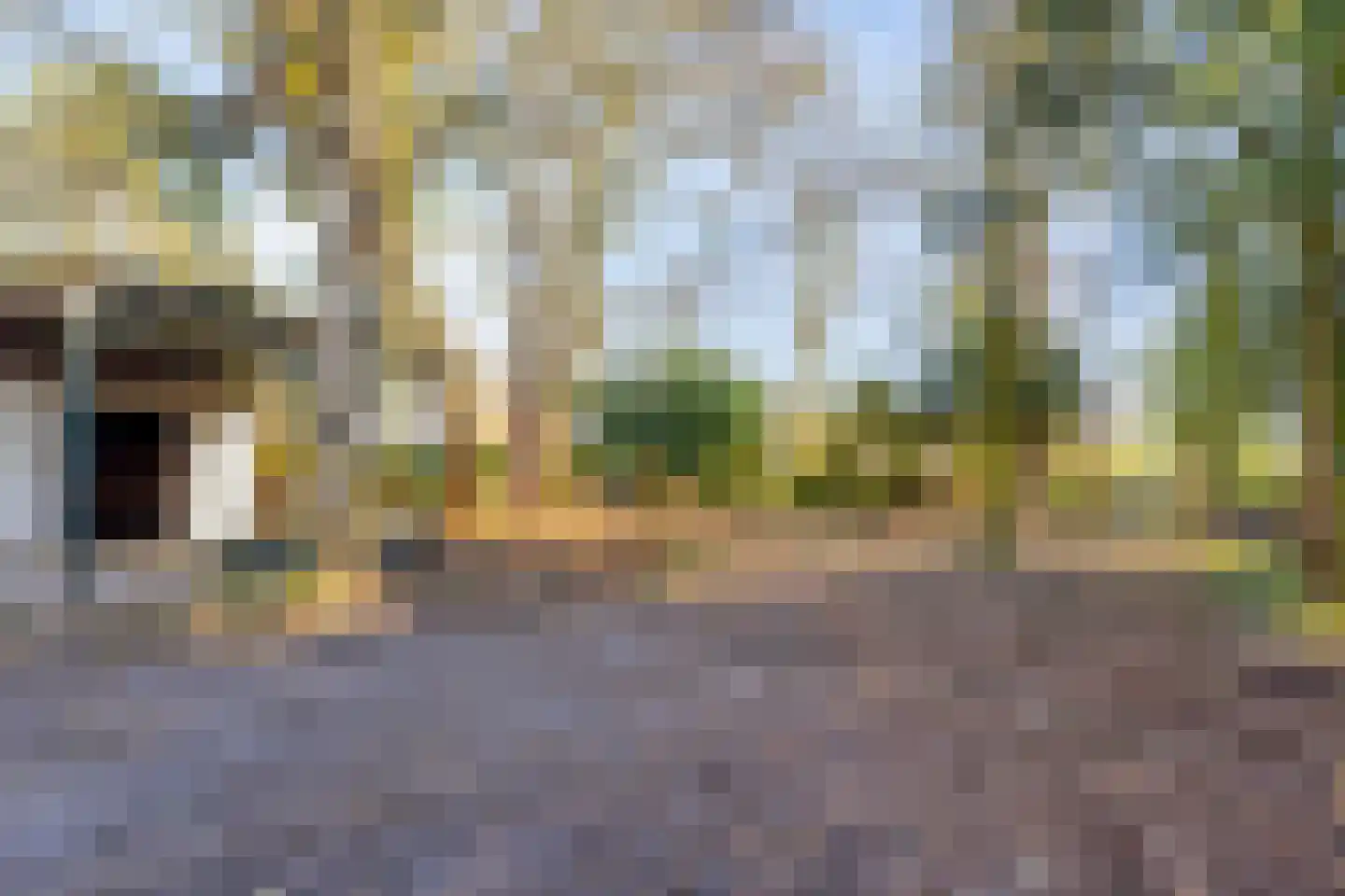 Barchemseweg 51 Ruurlo thumbnail 26