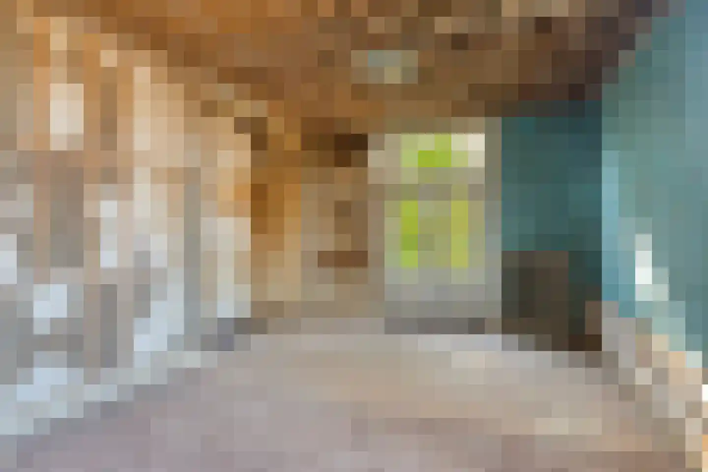 Barchemseweg 51 Ruurlo thumbnail 63