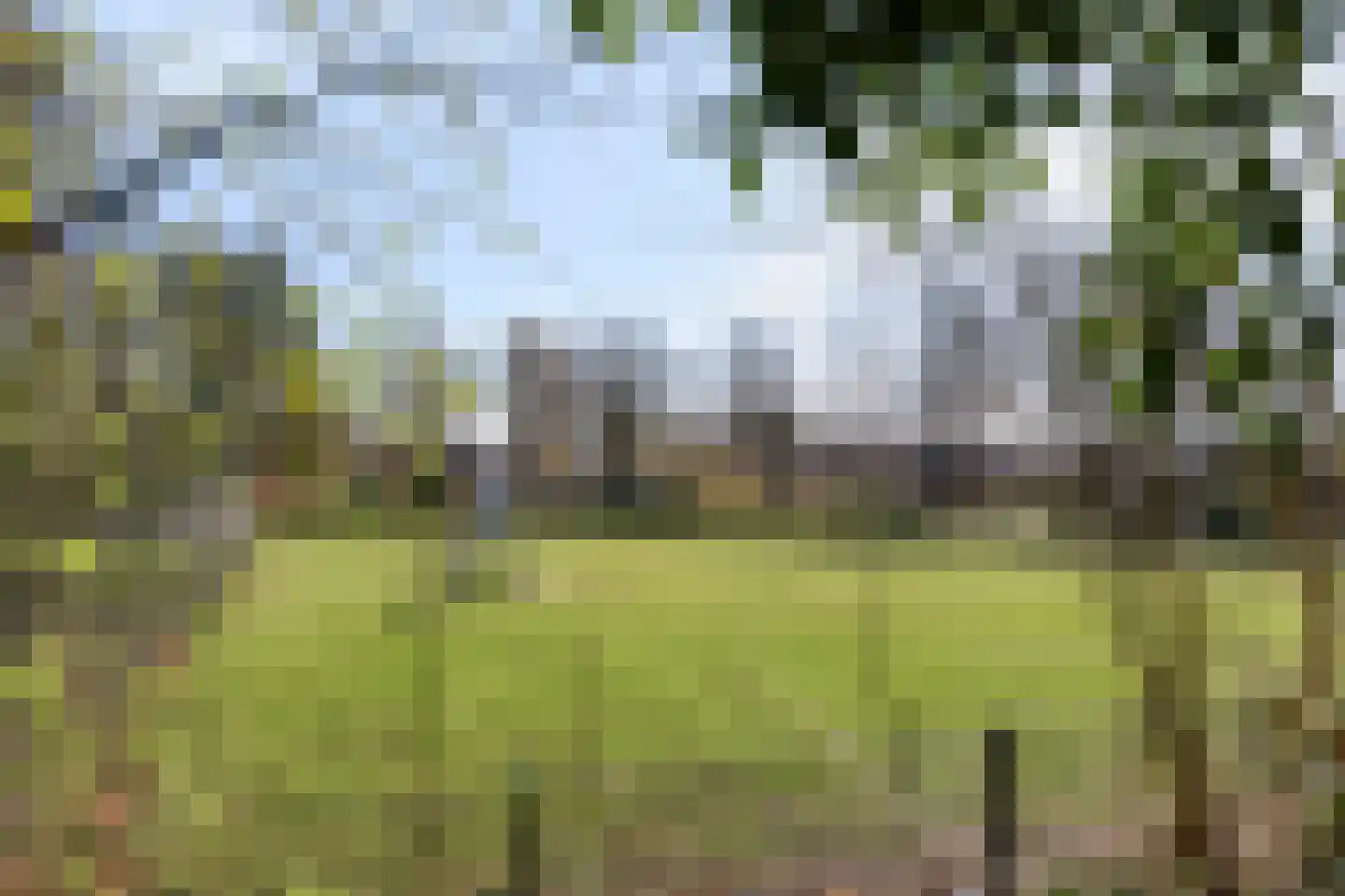 Barchemseweg 51 Ruurlo thumbnail 69