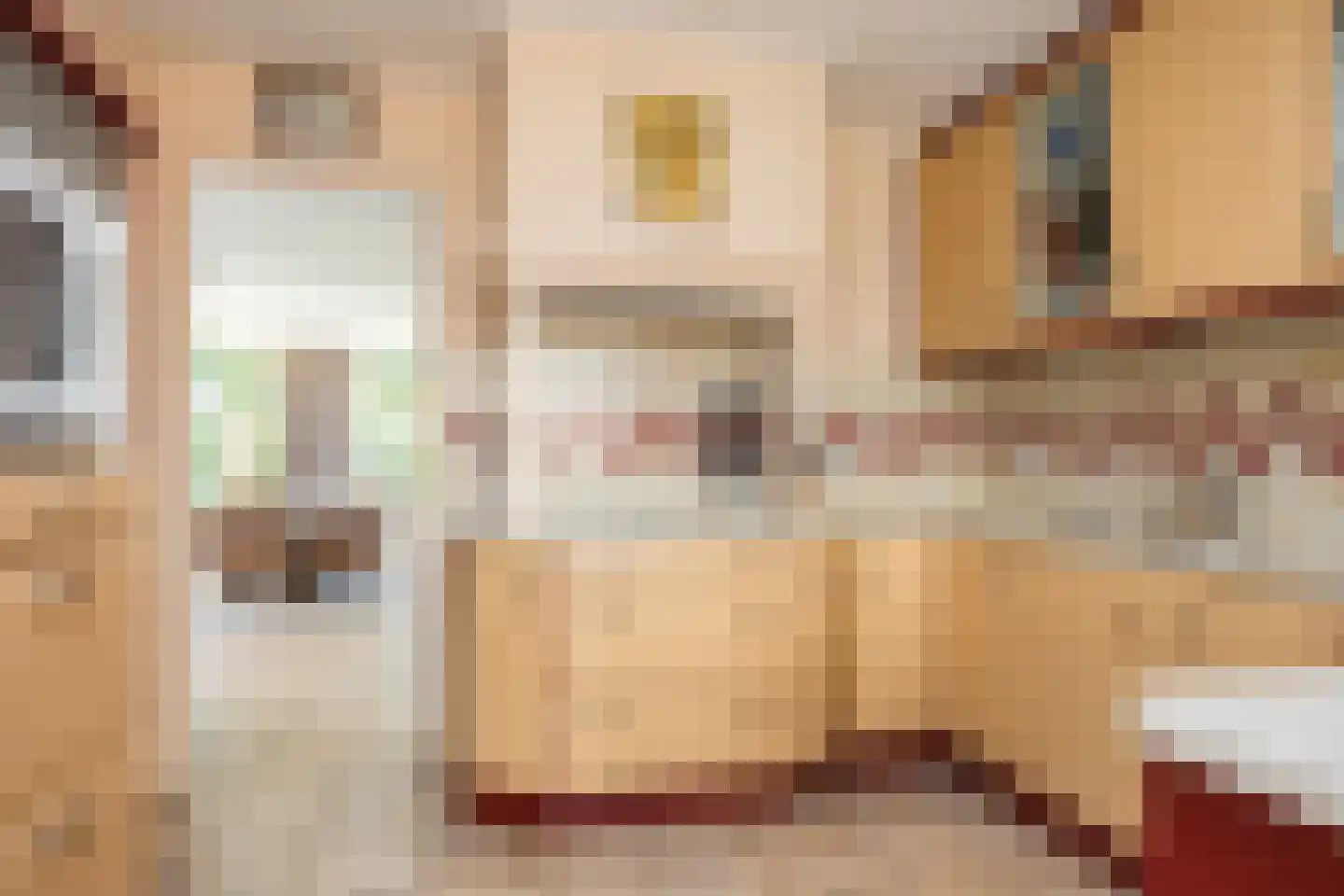 Barchemseweg 60 Ruurlo thumbnail 17