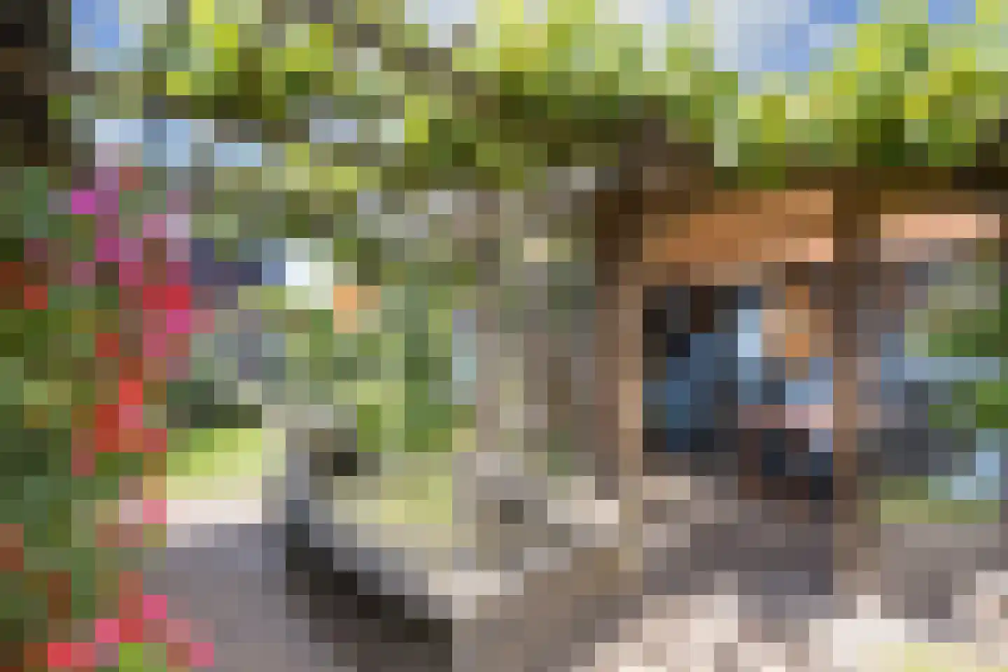 Barchemseweg 60 Ruurlo thumbnail 34