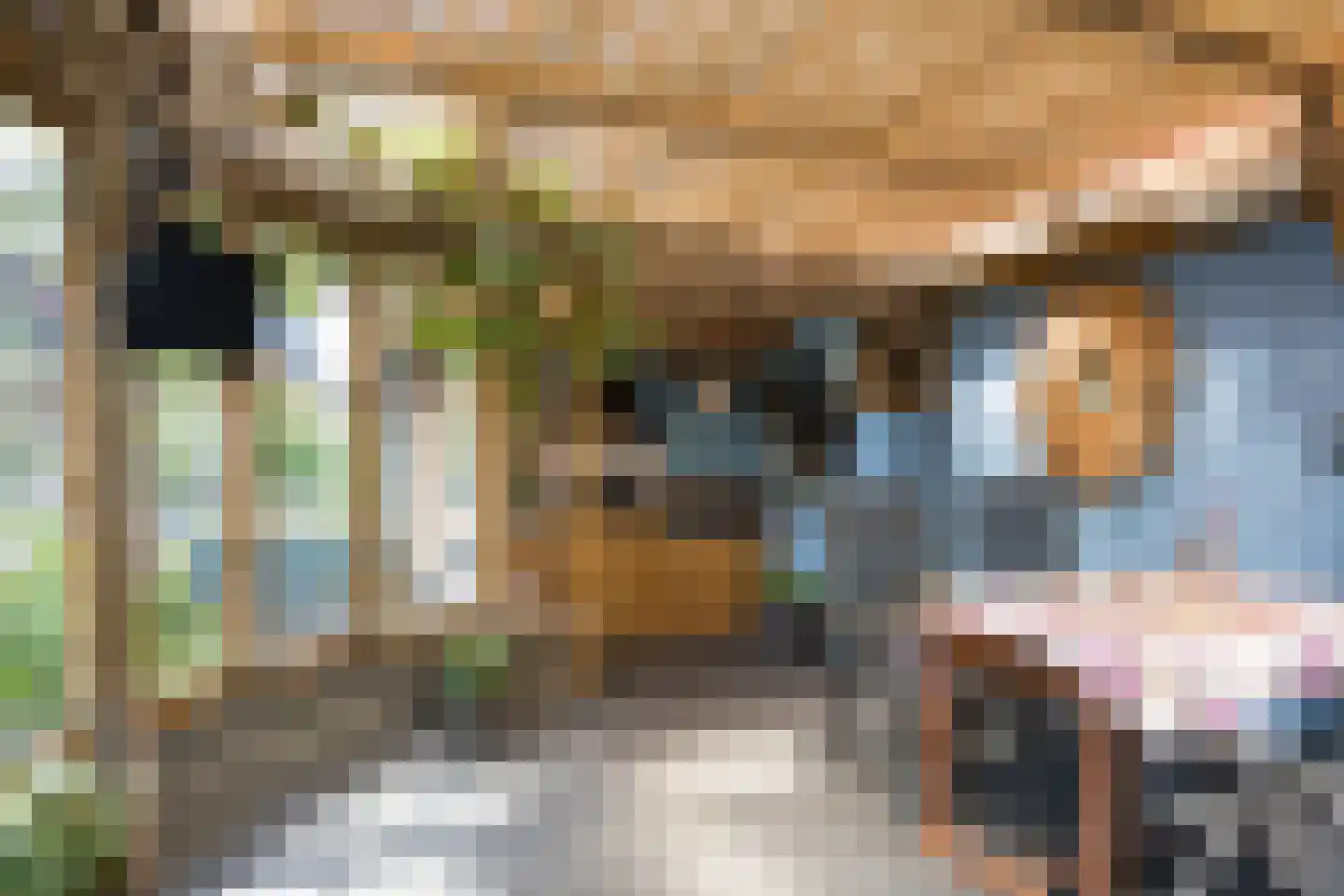 Barchemseweg 60 Ruurlo thumbnail 35