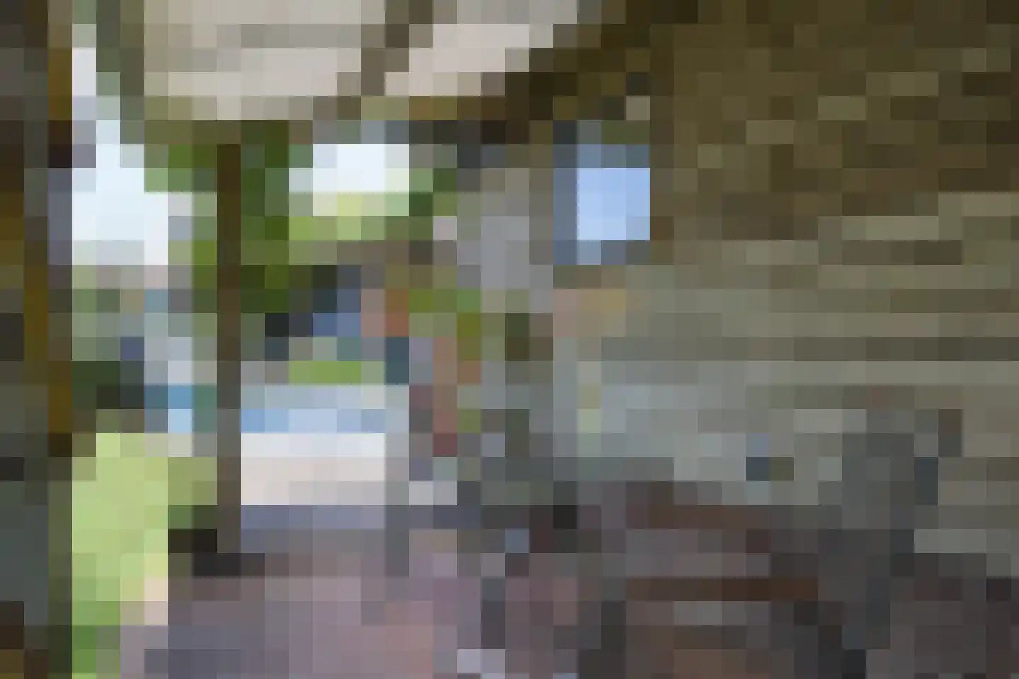 Barchemseweg 60 Ruurlo thumbnail 39