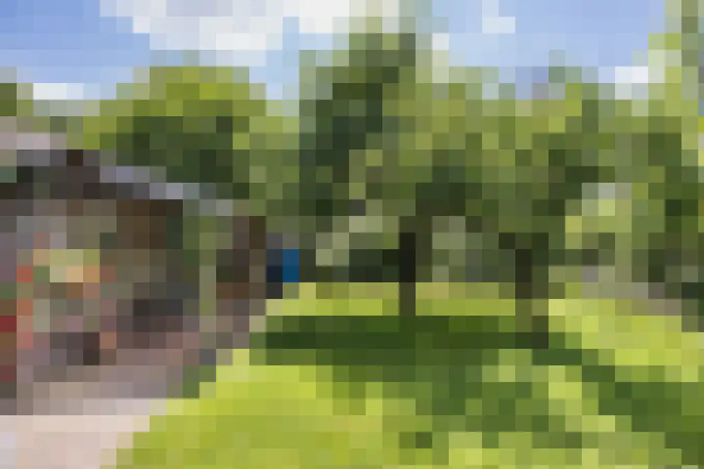 Barchemseweg 60 Ruurlo thumbnail 40