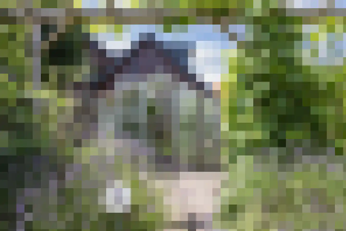 Barchemseweg 60 Ruurlo thumbnail 41