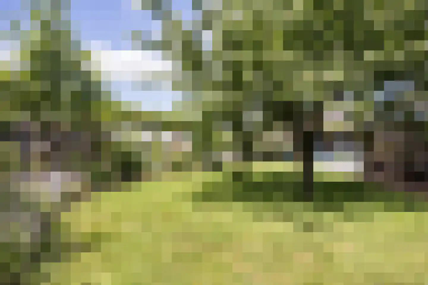 Barchemseweg 60 Ruurlo thumbnail 44