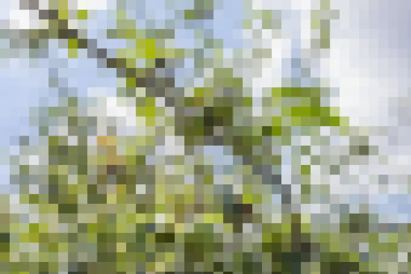 Barchemseweg 60 Ruurlo thumbnail 45