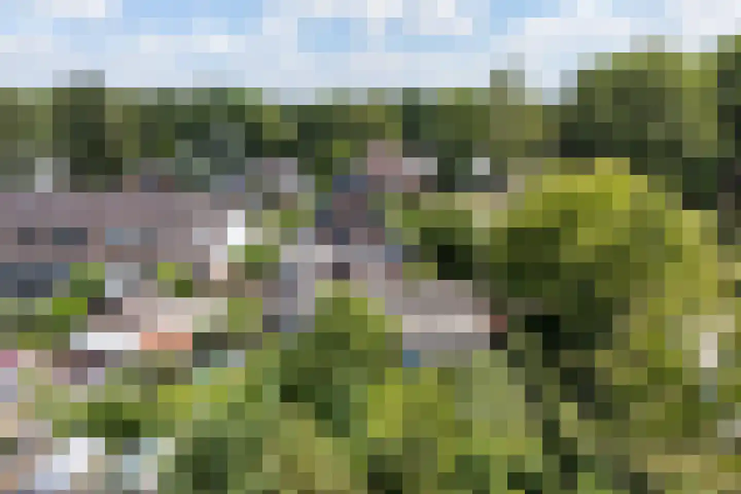 Barchemseweg 60 Ruurlo thumbnail 50