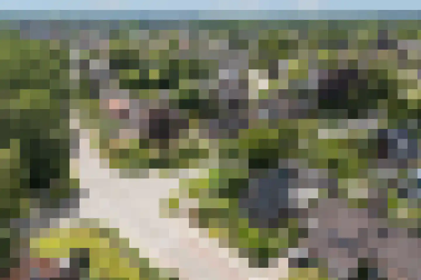Barchemseweg 60 Ruurlo thumbnail 53