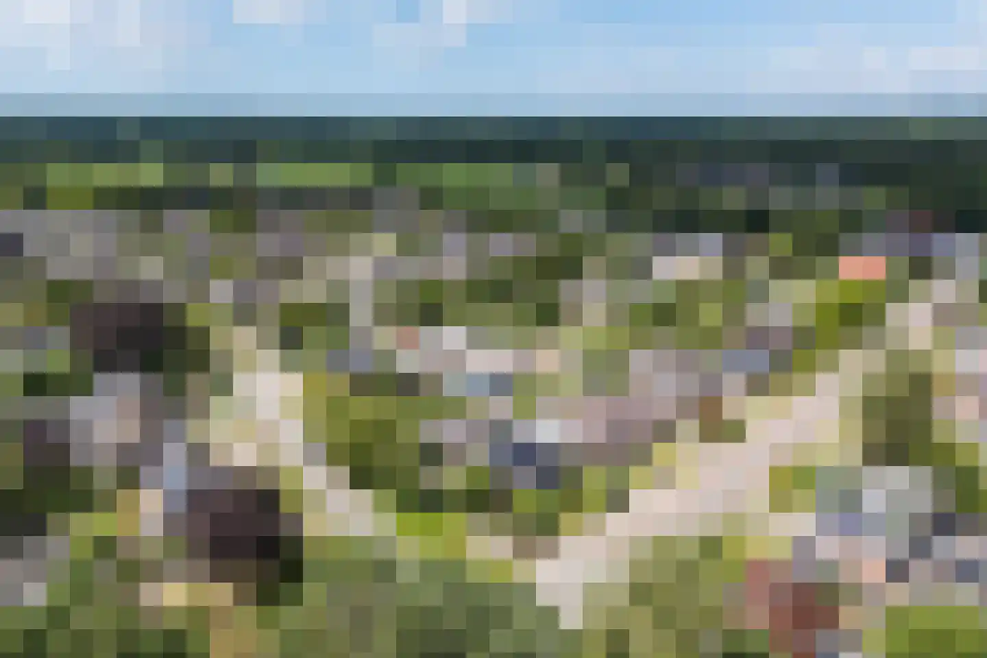 Barchemseweg 60 Ruurlo thumbnail 54
