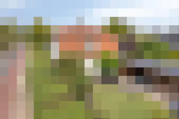 Barchemseweg 77 Lochem thumbnail 52