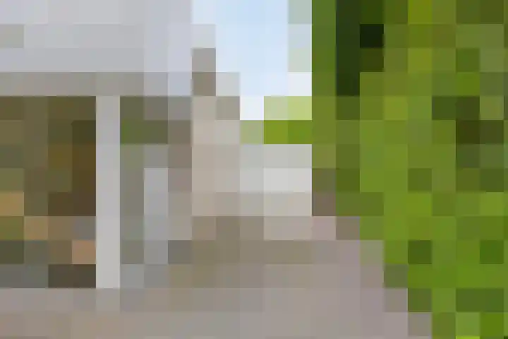Barchemseweg 90 a Lochem thumbnail 7