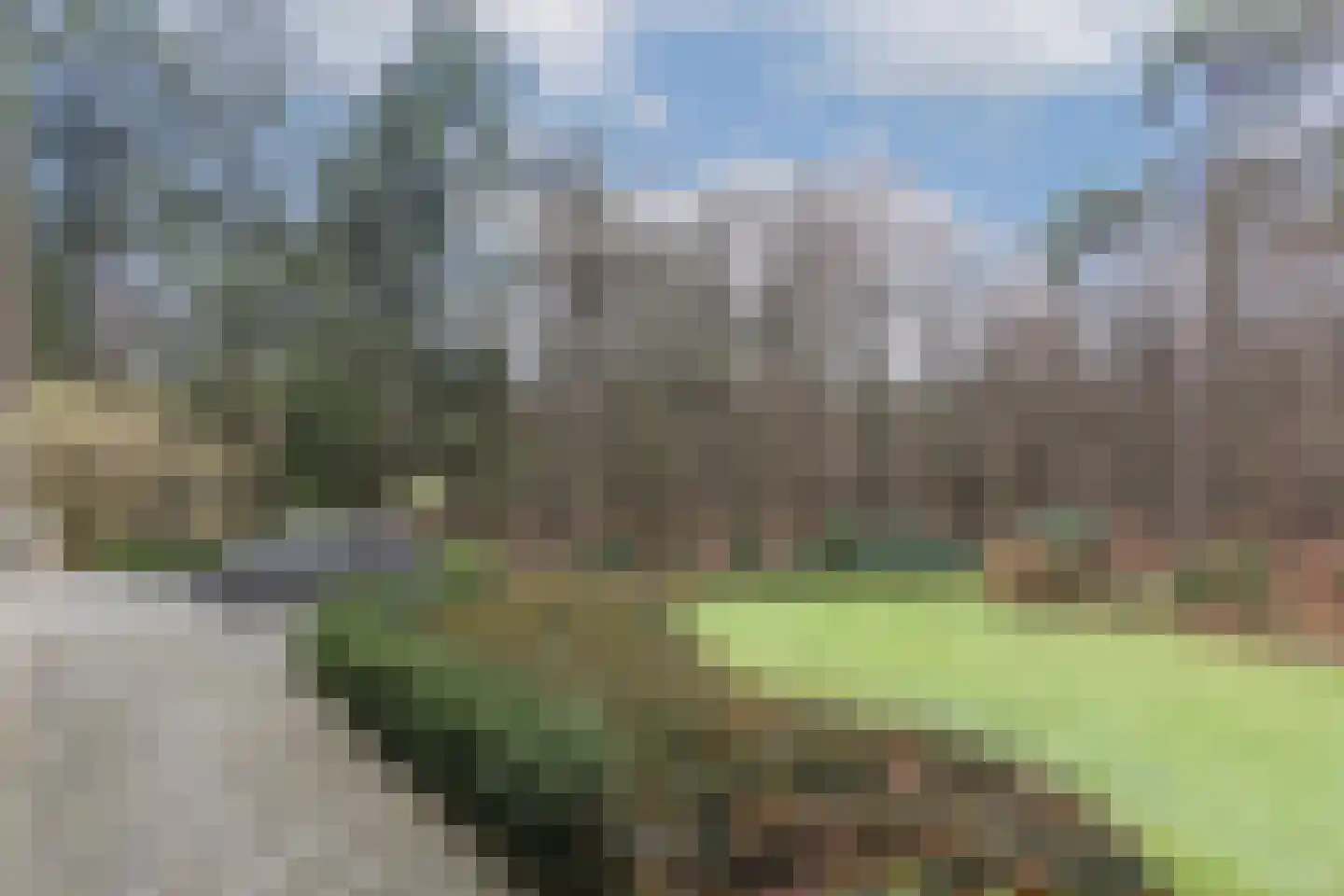 Barchemseweg 98 Lochem thumbnail 55