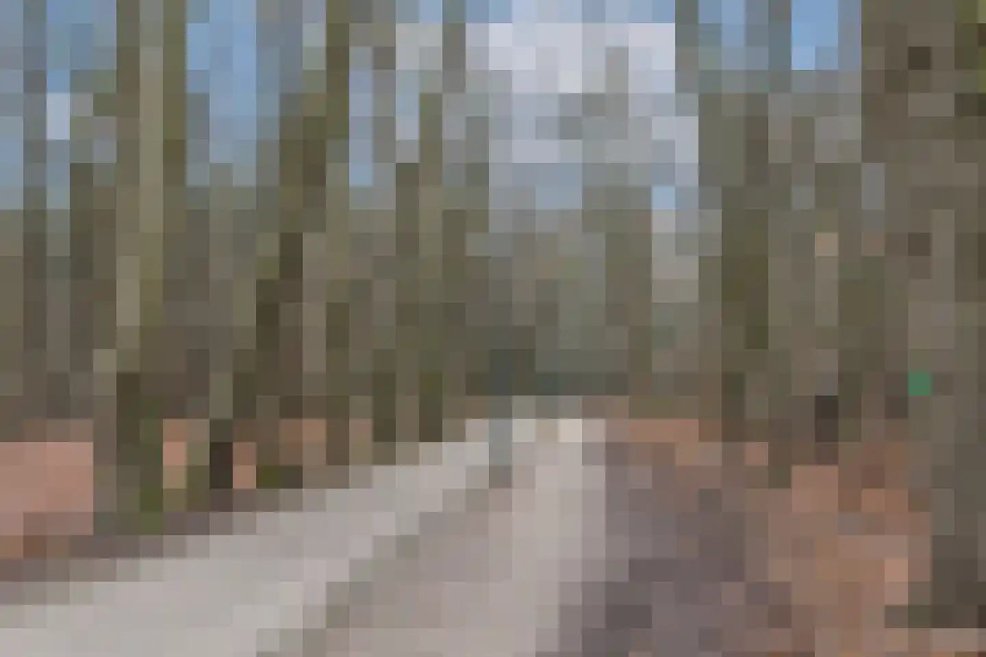 Barchemseweg 98 Lochem thumbnail 65