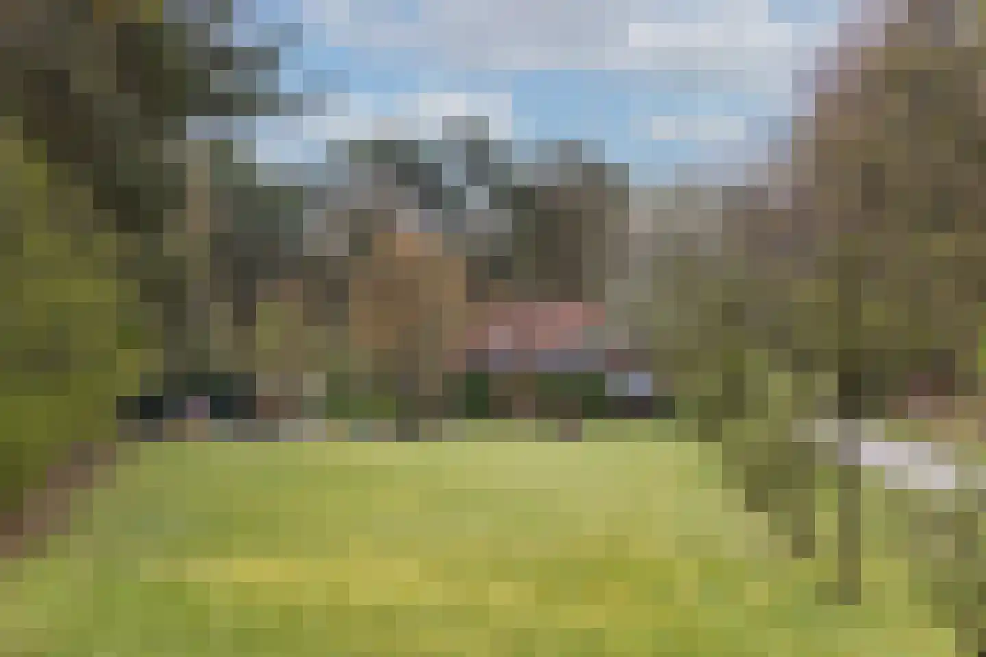 Barchemseweg 98 Ruurlo thumbnail 37