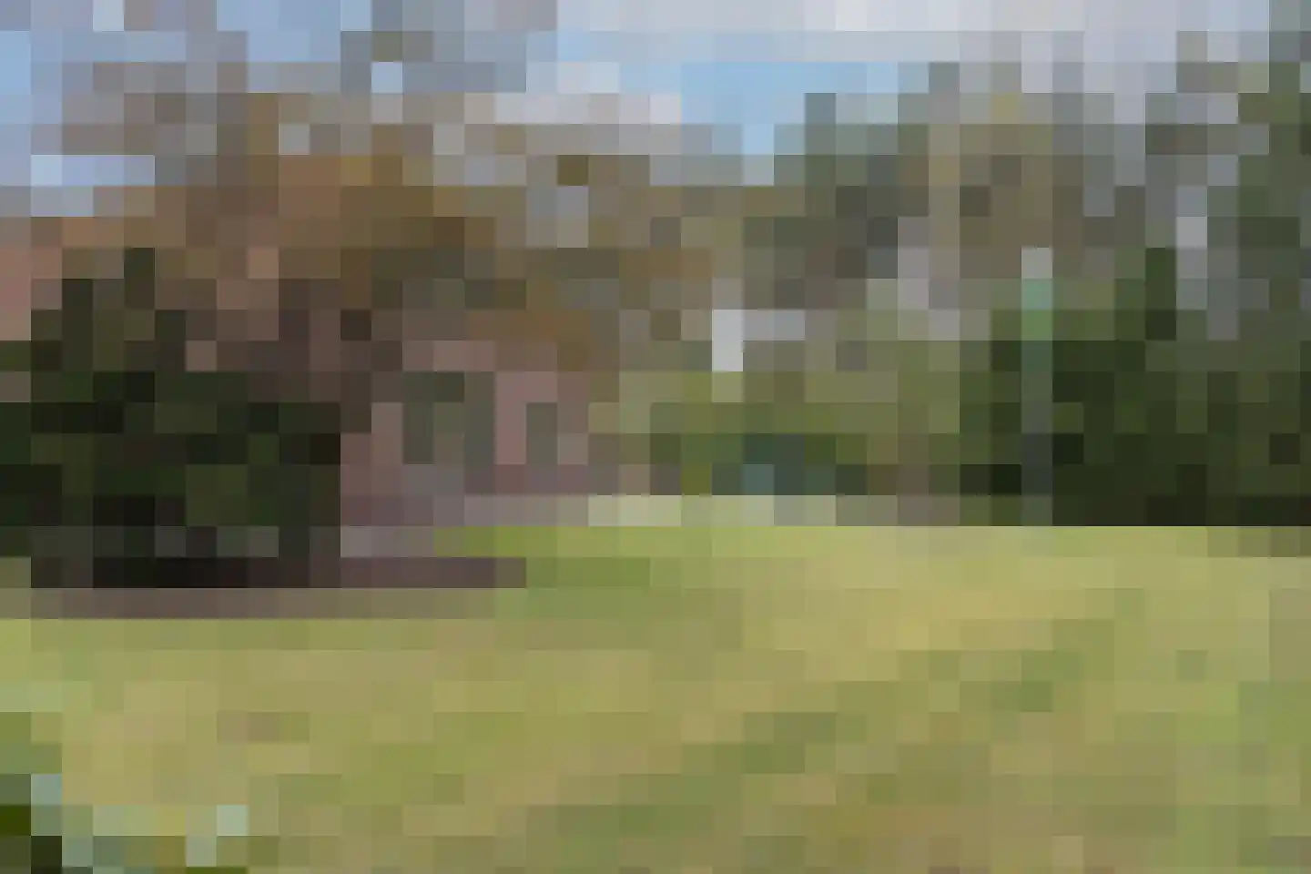 Barchemseweg 98 Ruurlo thumbnail 6