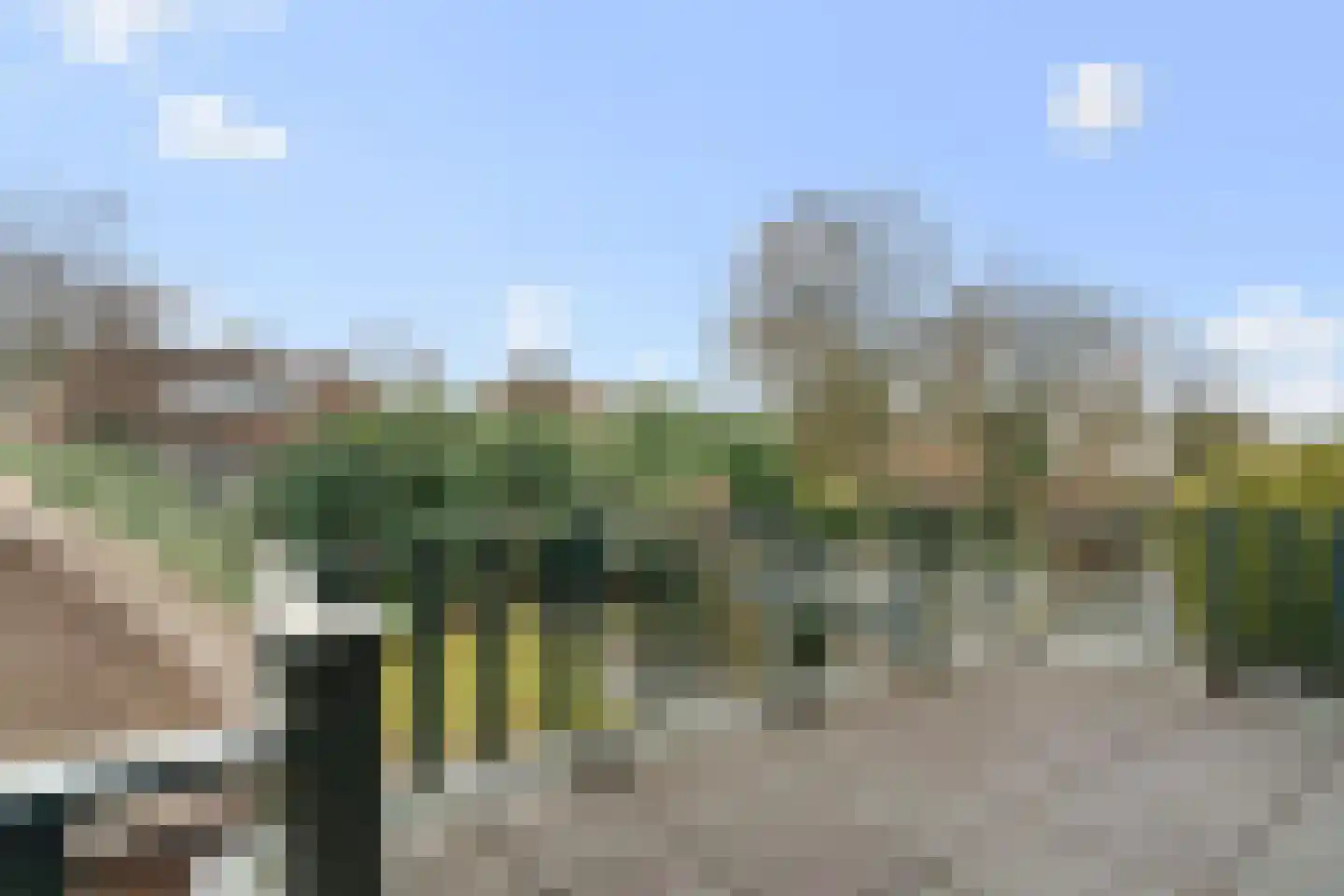 Barchman Wuytierslaan 148 Amersfoort thumbnail 30