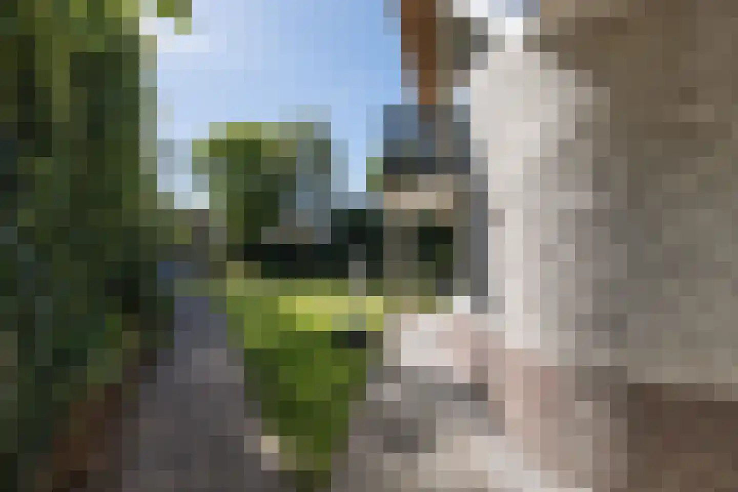 Barchman Wuytierslaan 186 A Amersfoort thumbnail 63