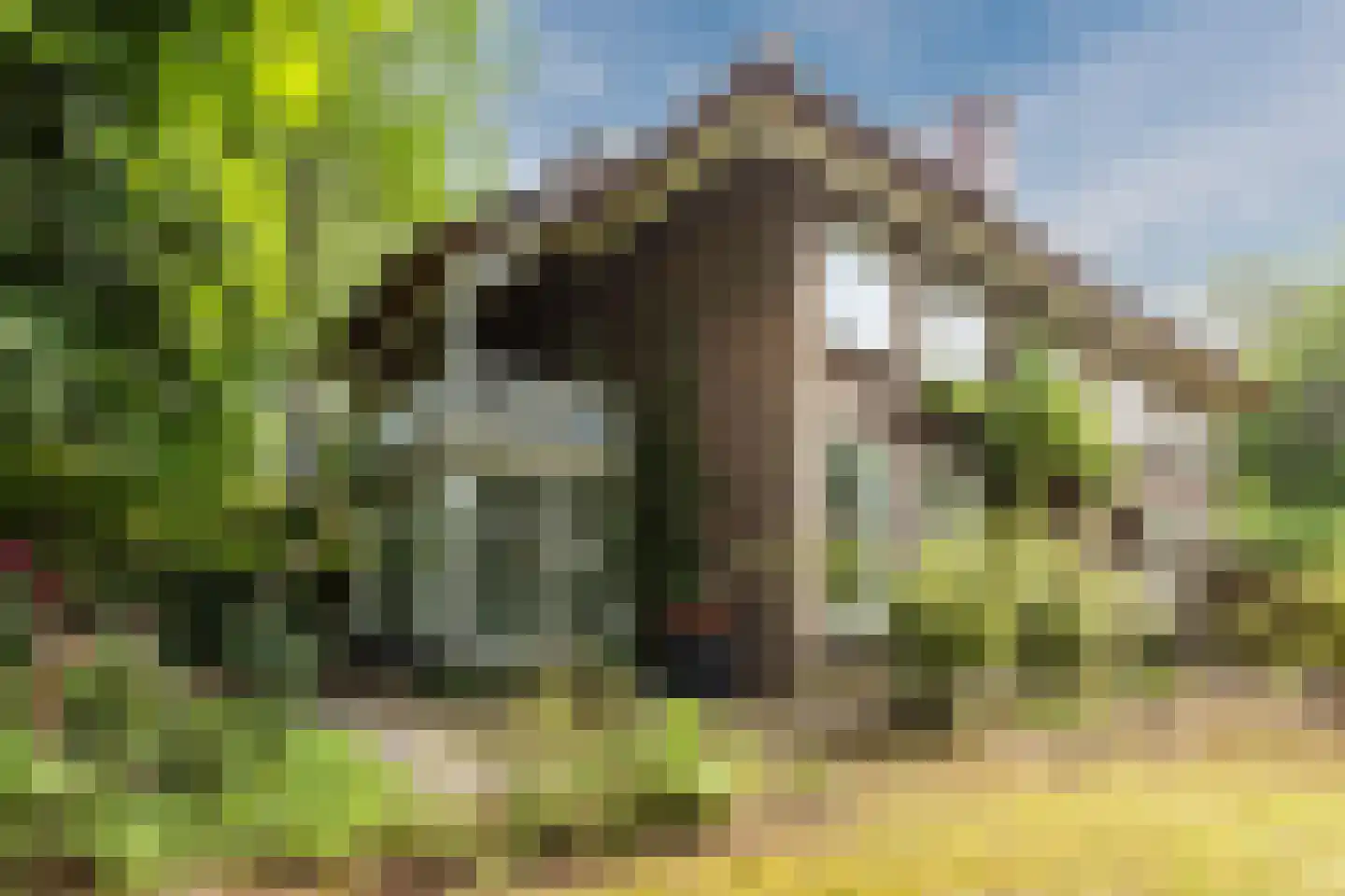 Barchman Wuytierslaan 190 Amersfoort thumbnail 30