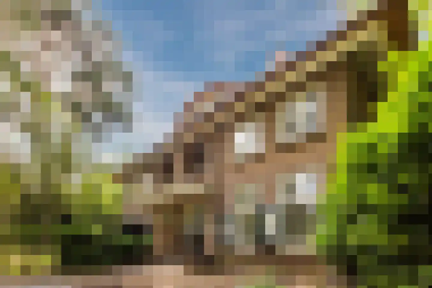 Barchman Wuytierslaan 190 Amersfoort thumbnail 37