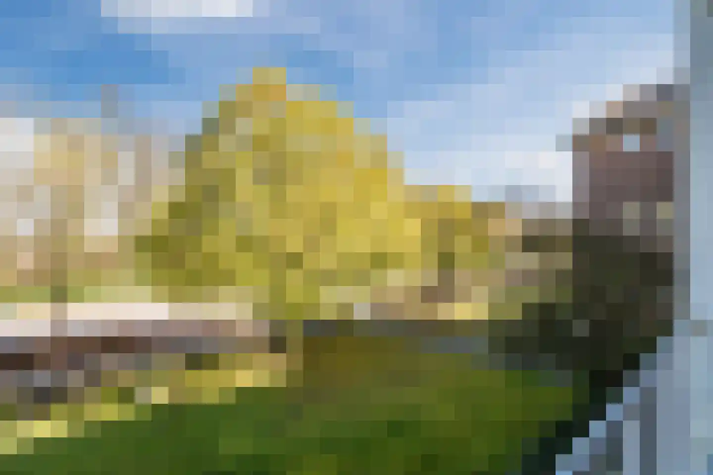 Barchman Wuytierslaan 78 B Amersfoort thumbnail 17