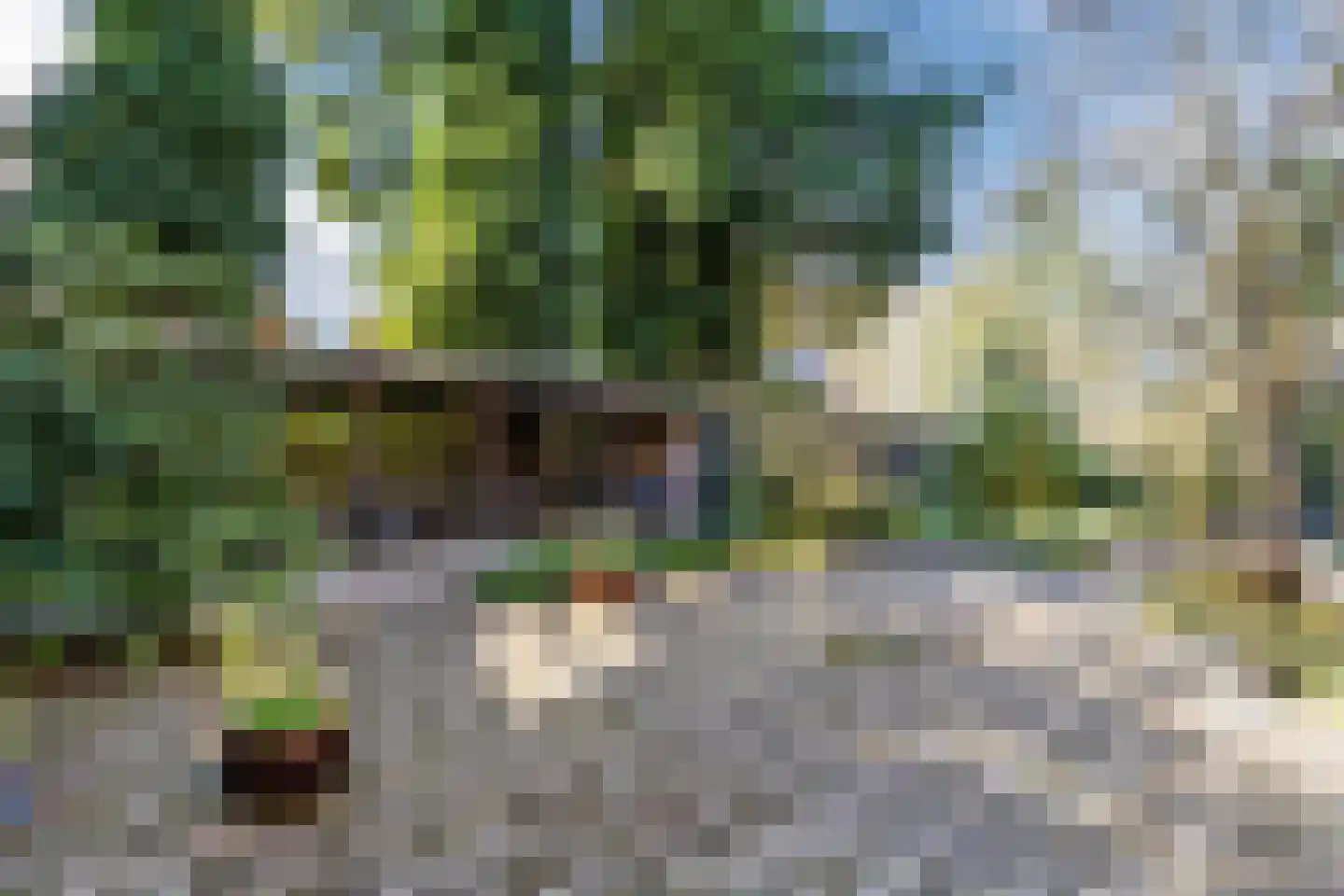 Barchman Wuytierslaan 78 B Amersfoort thumbnail 23
