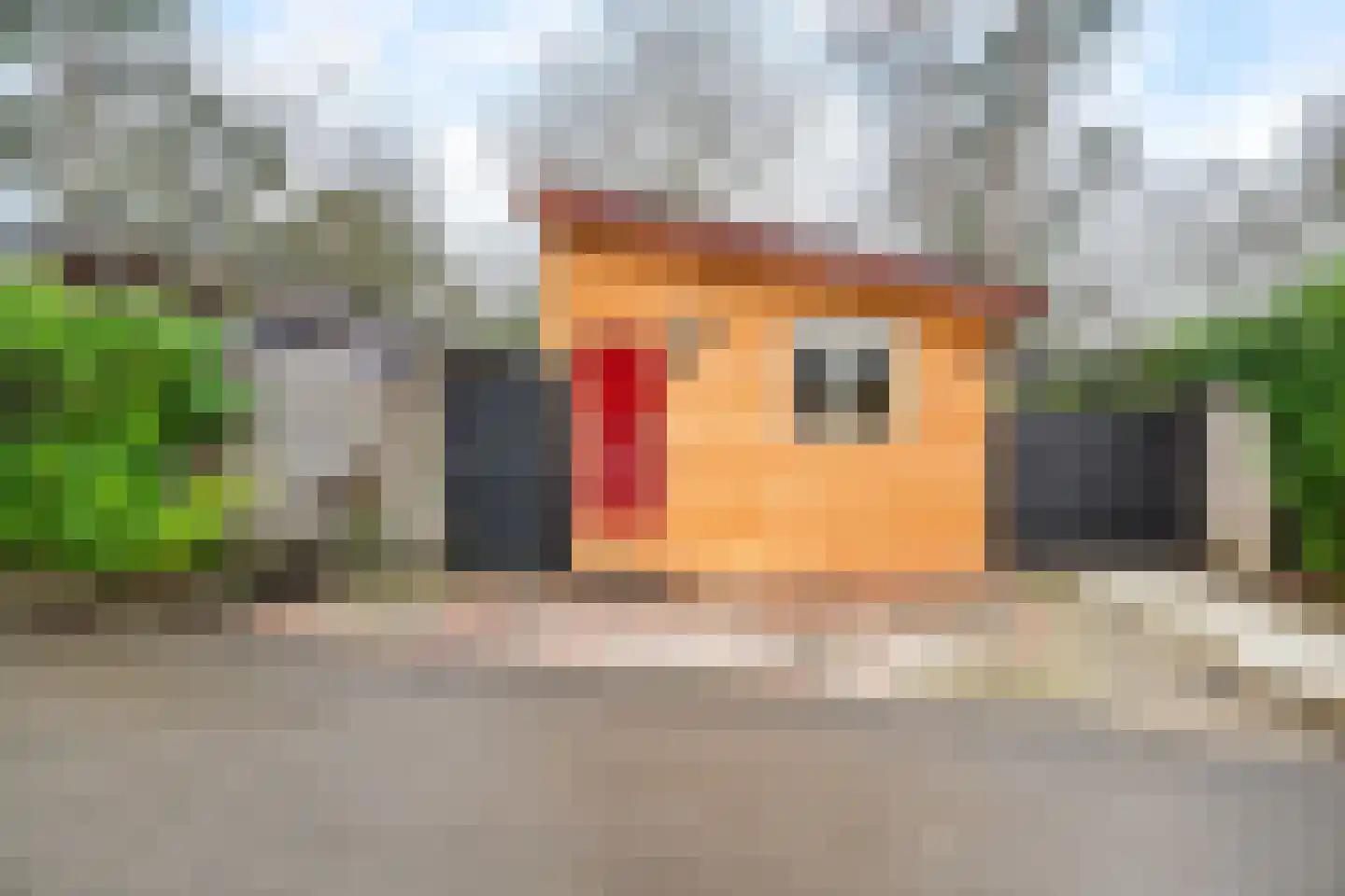 Barchman Wuytierslaan 81 20 Amersfoort thumbnail 5
