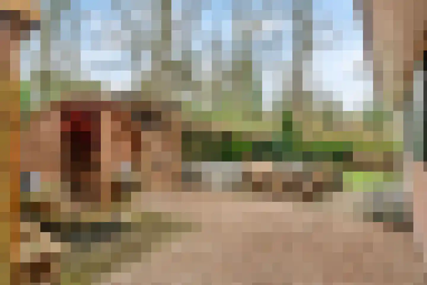 Barchman Wuytierslaan 81 48 Amersfoort thumbnail 27